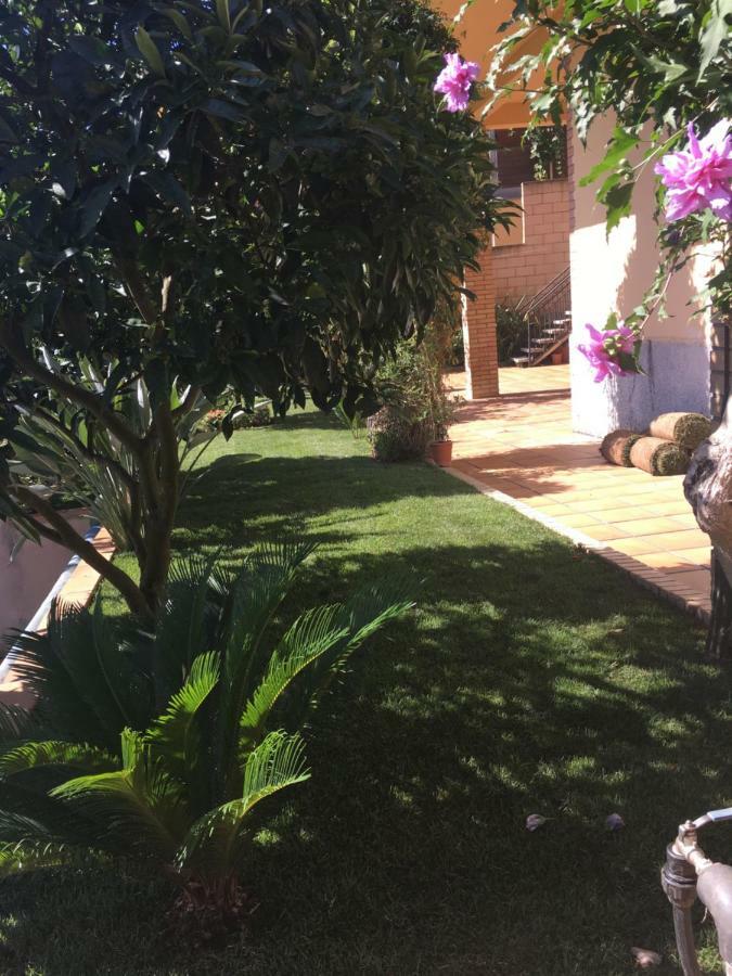Apartamento Mar Y Montana Argentona Eksteriør billede